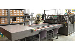 >Alloyd 20 station carousel Reconditioned Used Packaging Machine for Sale